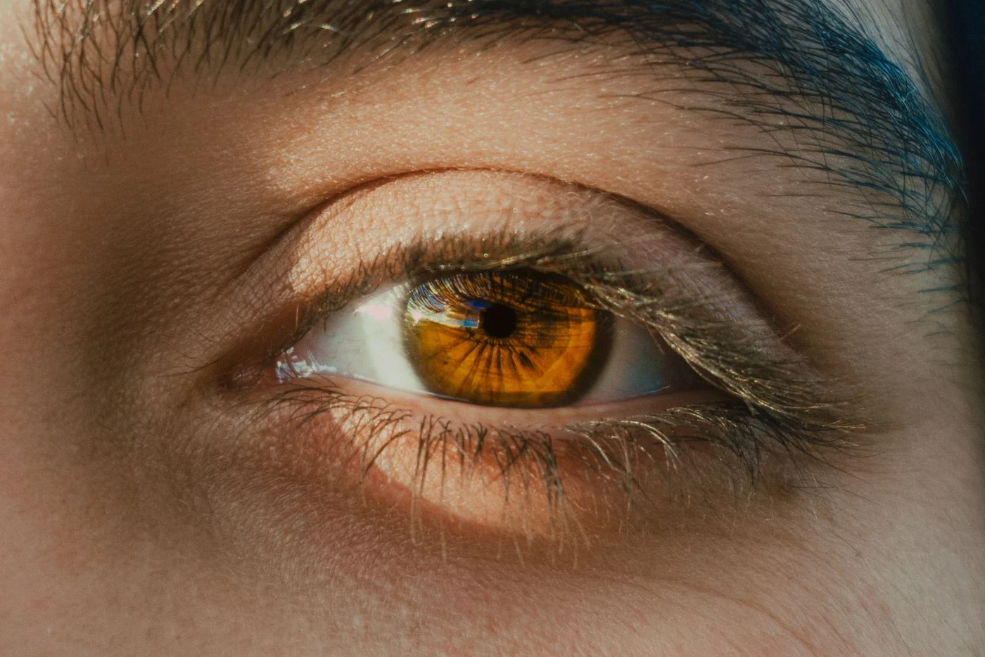 CAIRS (Segmentos de Anillo Corneal Alogénicos)